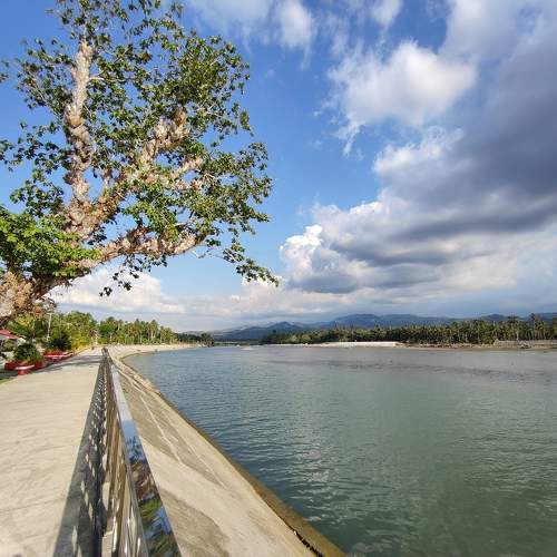 Photo #10511774
