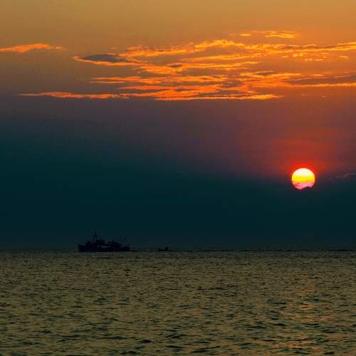 Photo #10511810