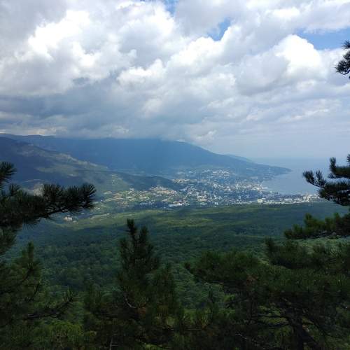 Photo #10511854