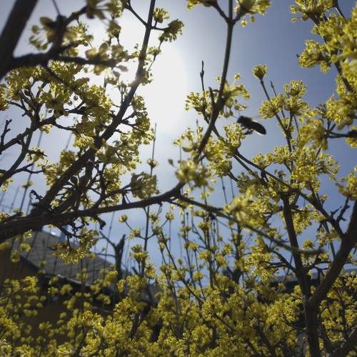Photo #10511954