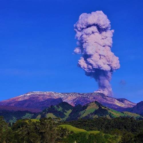 Photo #10512037