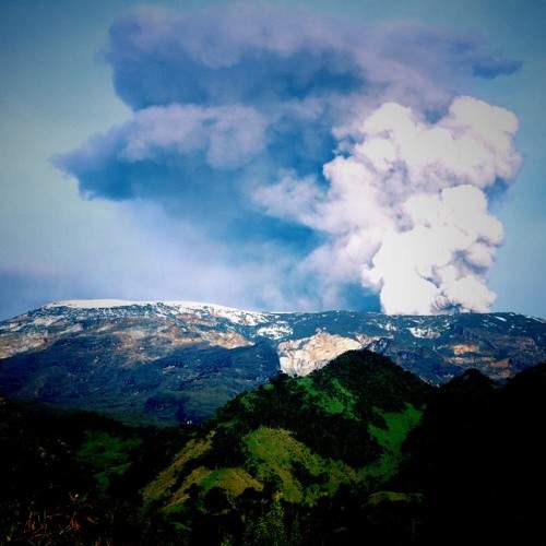 Photo #10512038