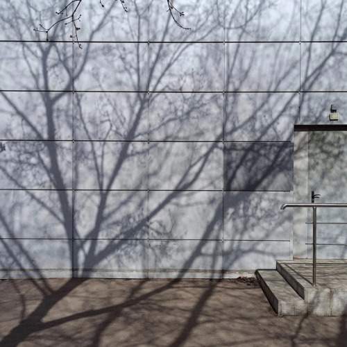 Photo #10512434