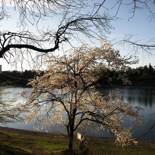 Photo #10512523