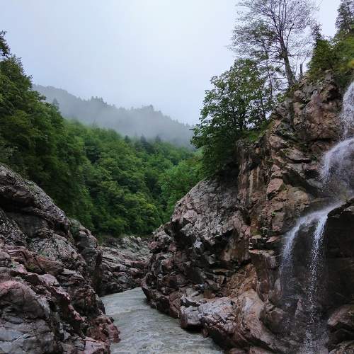 Photo #10512655