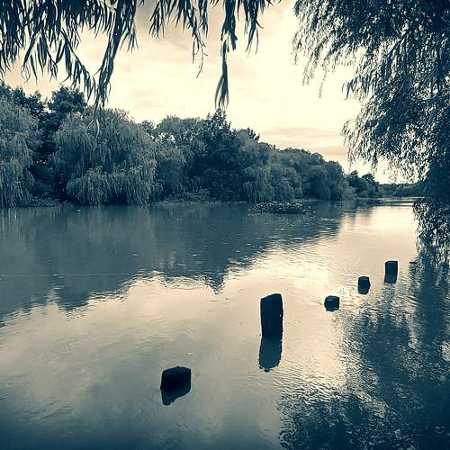 Photo #10512786