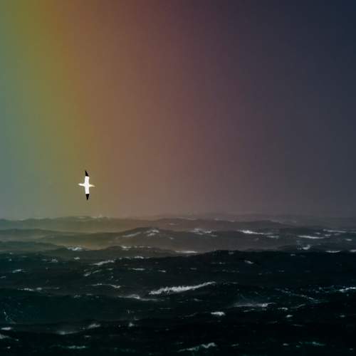 Dramatic flight