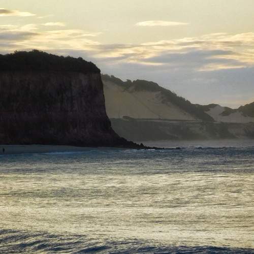 Photo #10512941