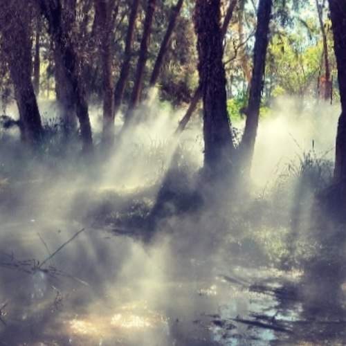 Photo #10513095