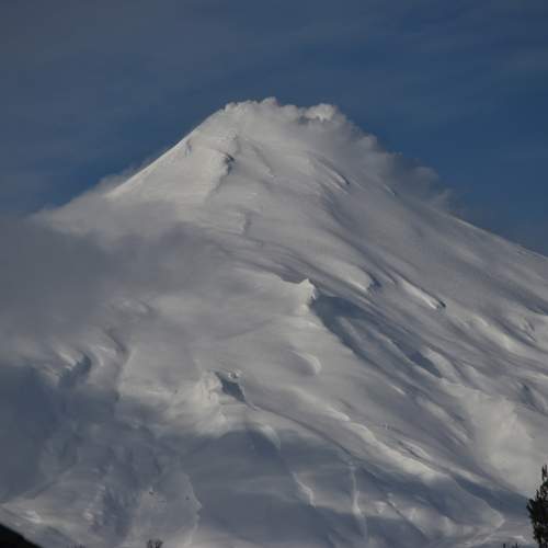 Photo #10513131