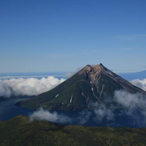 Photo #10513354