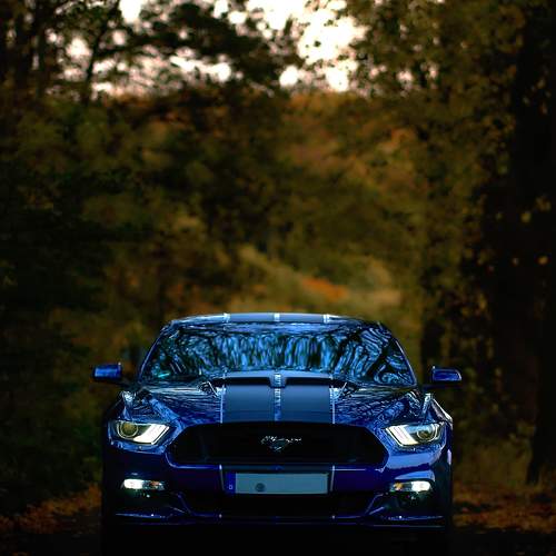 Photo #10513432