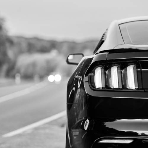Photo #10513453