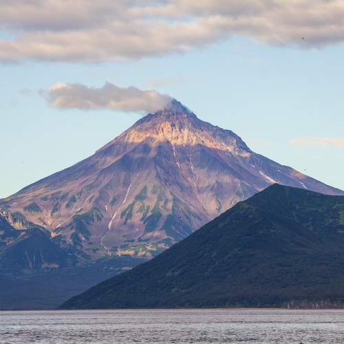Photo #10513684