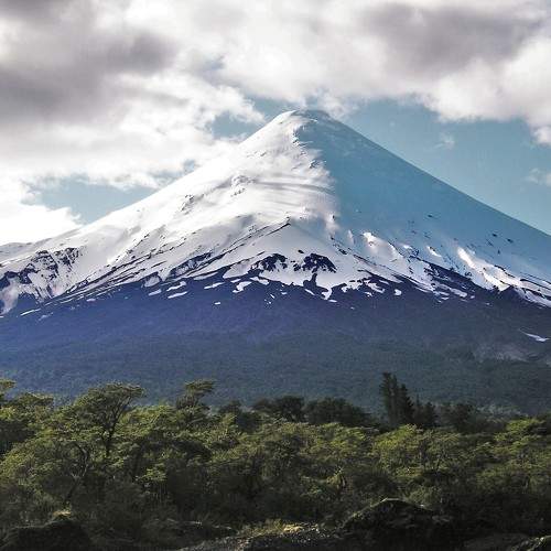 Photo #10514092