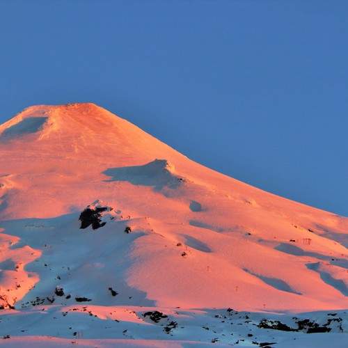 Photo #10514094