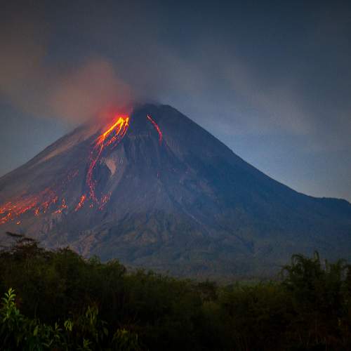 Photo #10514228