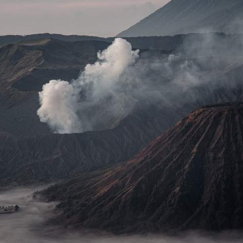 Photo #10514254