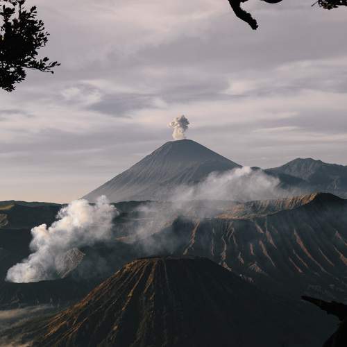 Photo #10514257