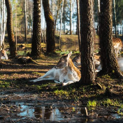 Photo #10514337