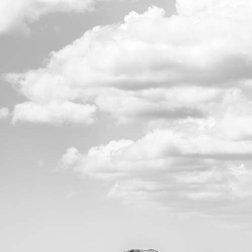 Фотография #10514464