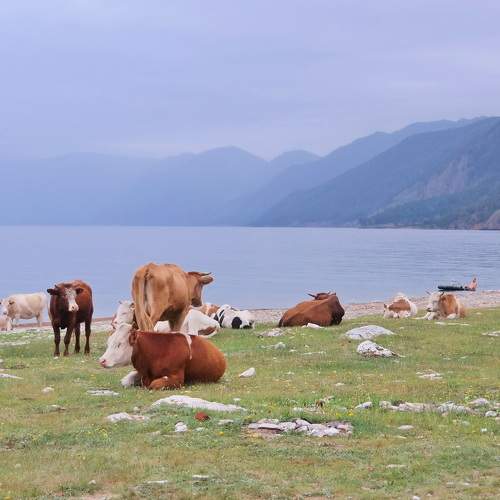 Photo #10514592