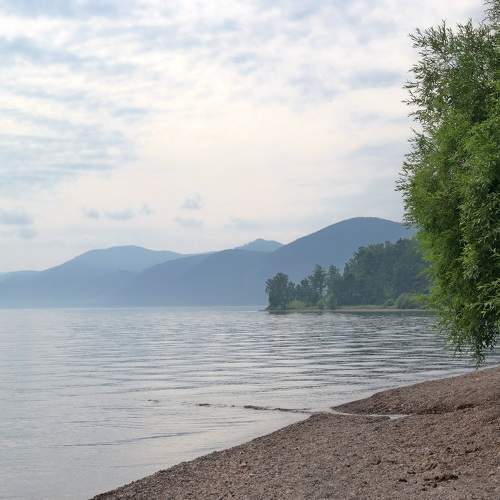 Photo #10514593