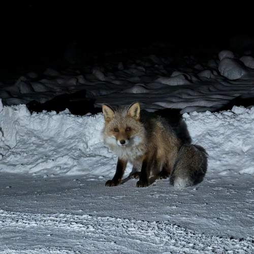 Photo #10514829