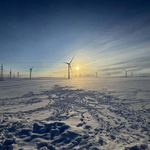 Photo #10514833