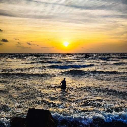 Photo #10515237