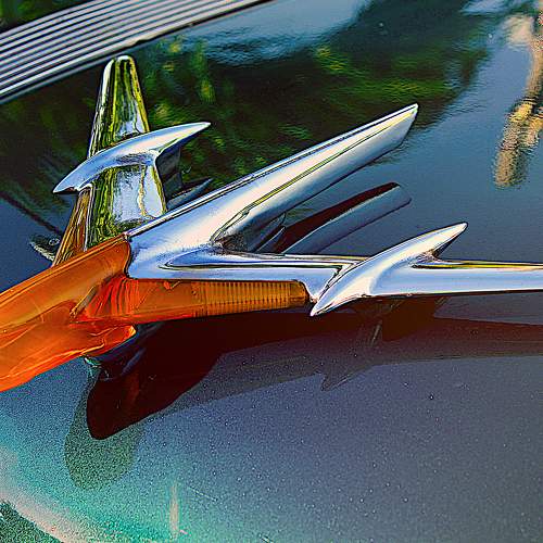 Photo #10515496