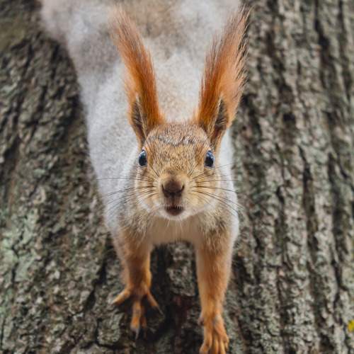 Photo #10516457