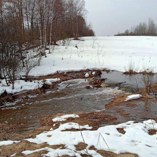 Photo #10517499