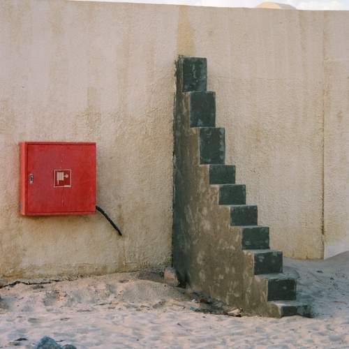Photo #10517984