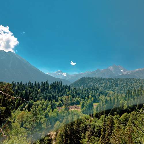 Photo #10517995