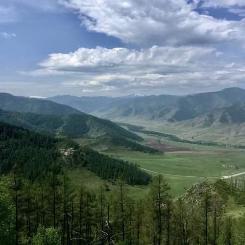 Photo #10518427