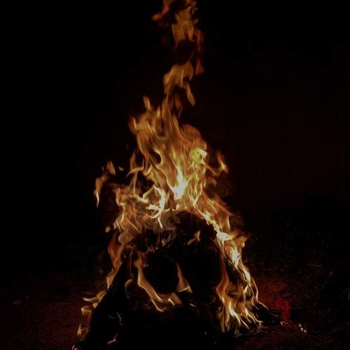 Photo #10518591