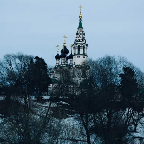 Photo #10519498