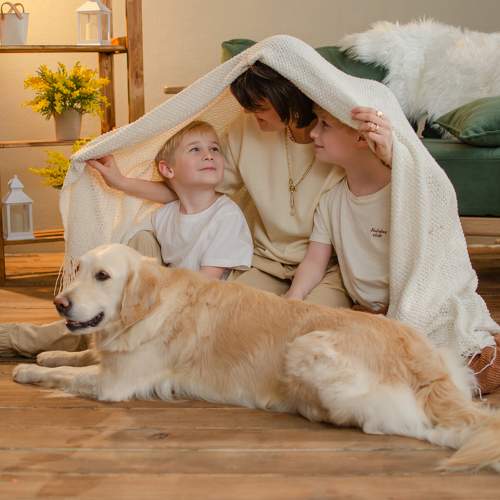 Photo #10519719