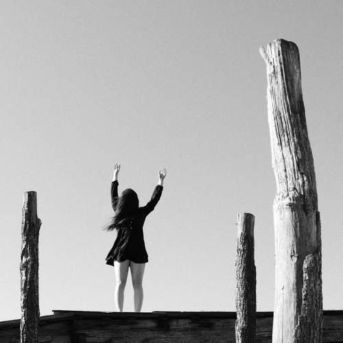 Photo #10520228