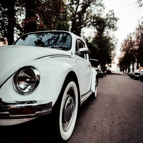 Photo #10520641