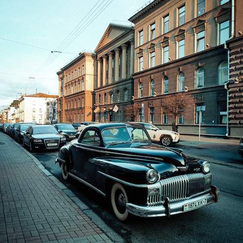 Photo #10520642