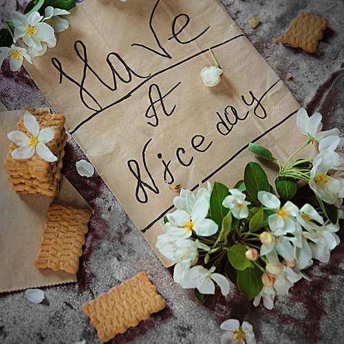 Photo #10520722