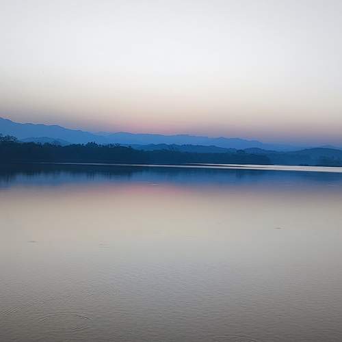 Photo #10520906