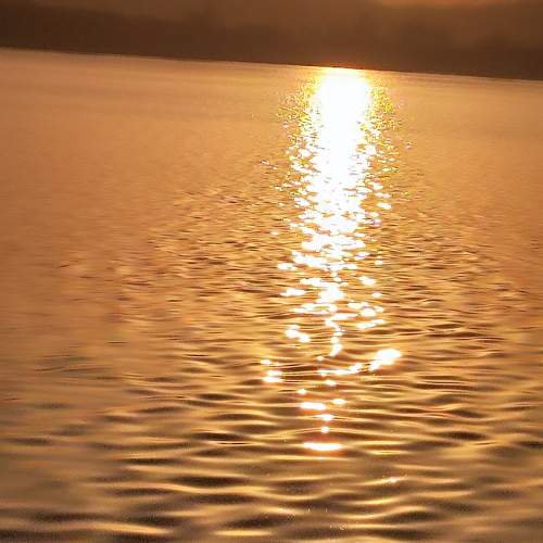 Photo #10520911