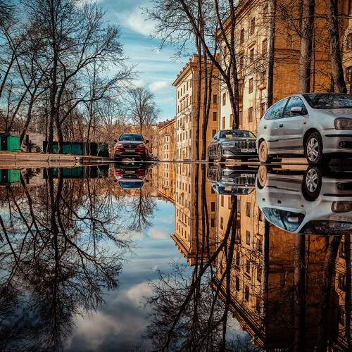 Photo #10521238