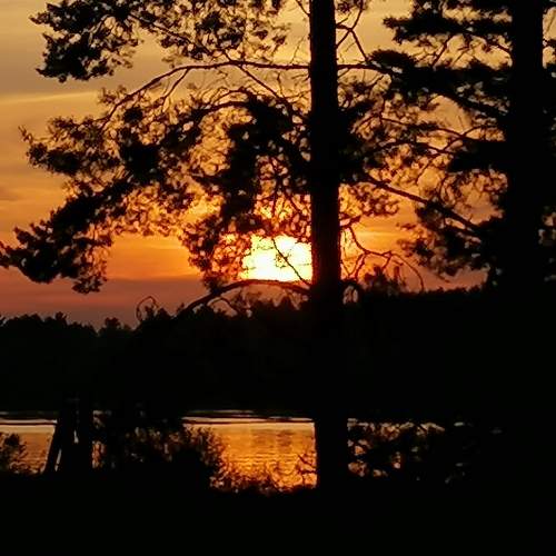 Photo #10521639