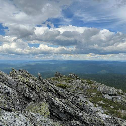 Photo #10521735
