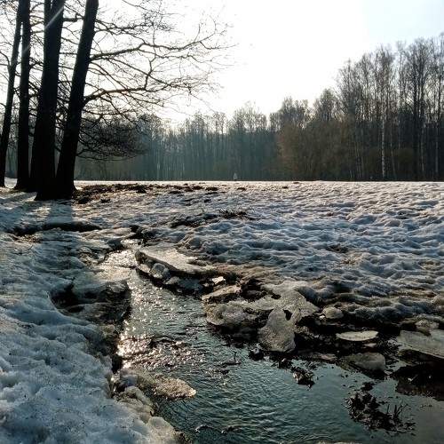 Photo #10522404