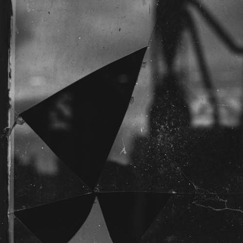Photo #10522662